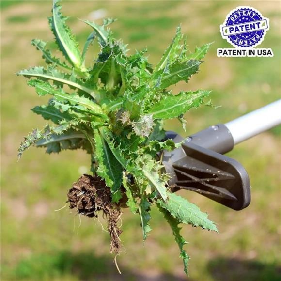Weed Puller, Long Handle Garden Weeding Tool with 5 Claws,(1 Pack) - Picture 3 of 6